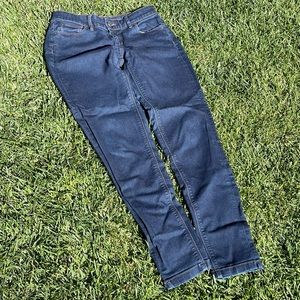 The Limited Denim High Waist Skinny 4